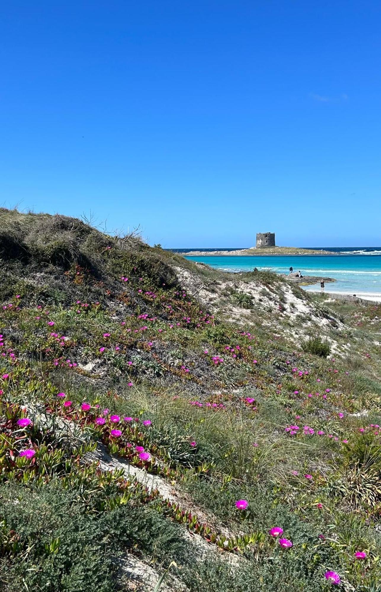 Nura's - Monolocale Sea-front Cala Lupo Appartamento